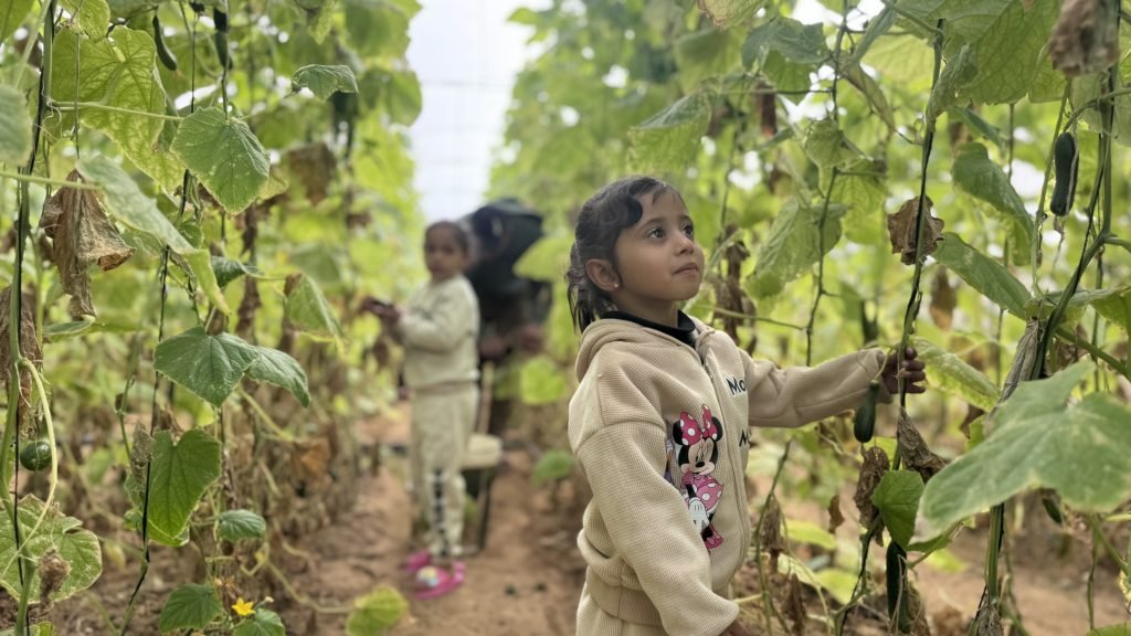 من الإغاثة إلى الاستدامة.. ” مؤسسة القلب الكبير” تسخر العمل الإنساني لحماية الأرض