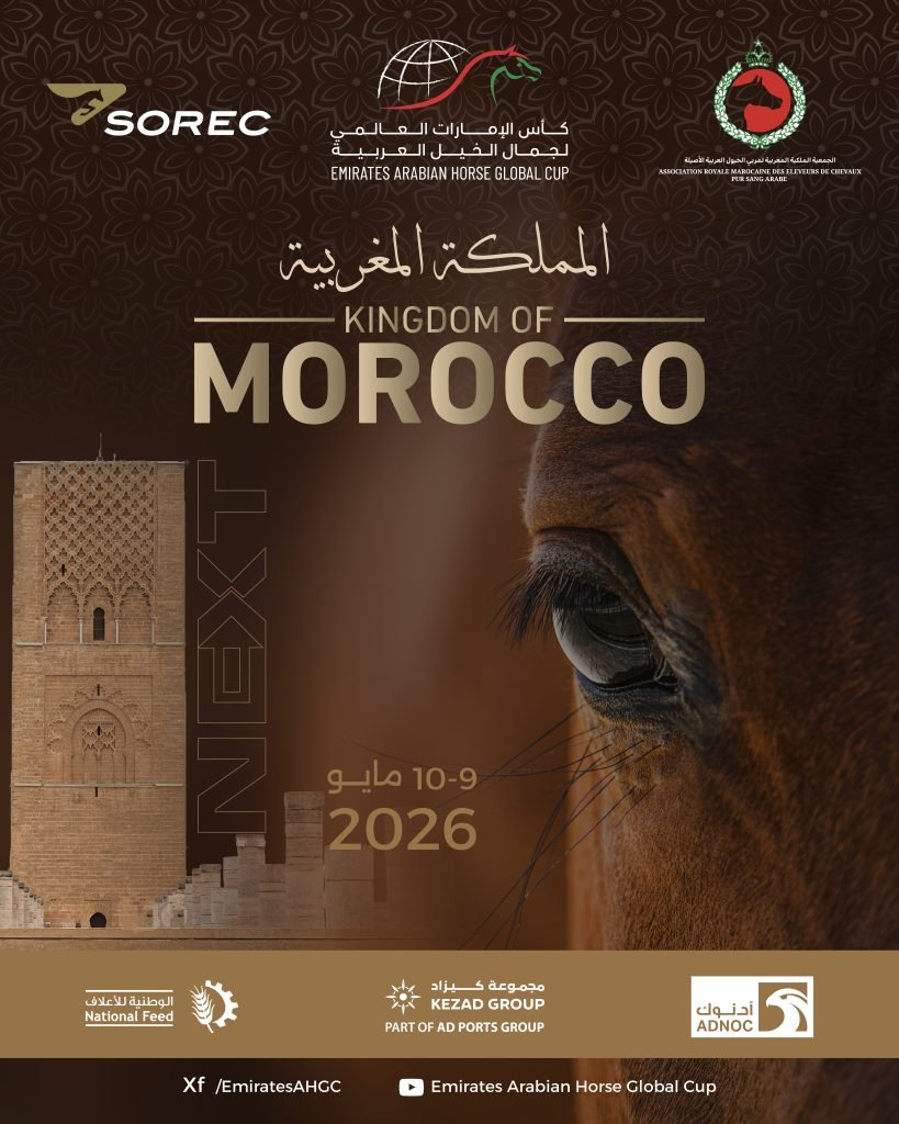 المغرب تستضيف الجولة الثالثة لكأس الإمارات العالمي لجمال الخيل العربية بمشاركة 179 خيلاً